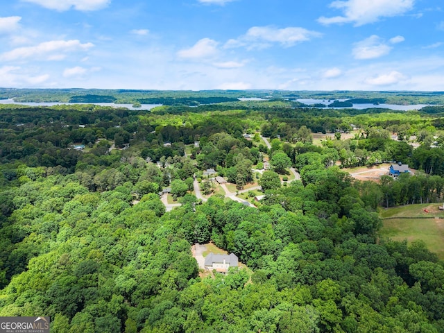 drone / aerial view of a forest