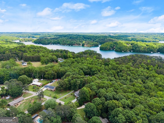 aerial view of a heavily wooded area and a large body of water