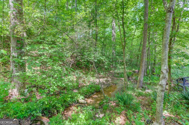5960 Bridge Stone Ct, Cumming, GA 30028 - view of woods