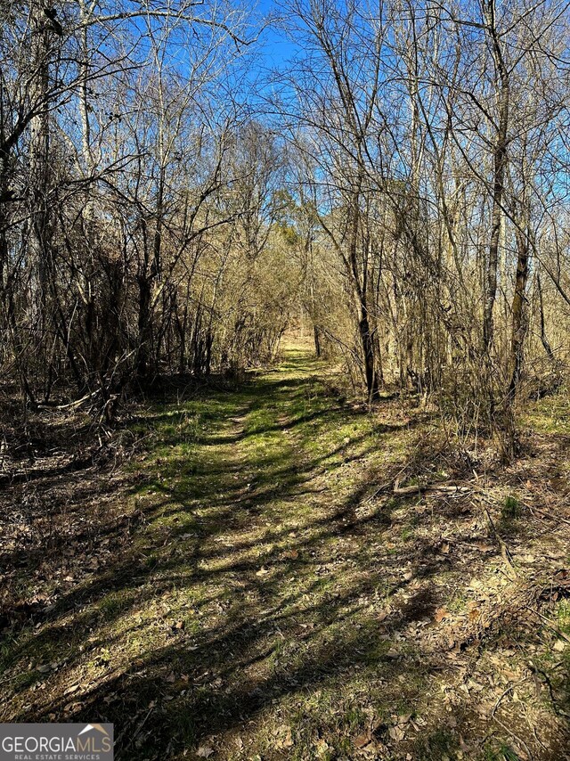 0 Conniston Rd, Chatsworth, GA 30705