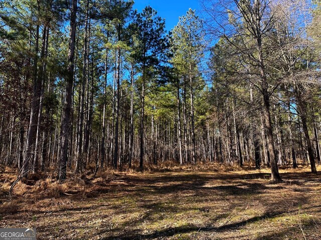 0 Conniston Rd, Chatsworth, GA 30705