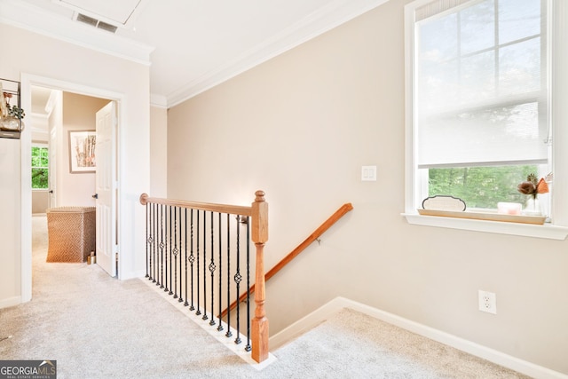 staircase featuring crown molding, carpet floors, and baseboards