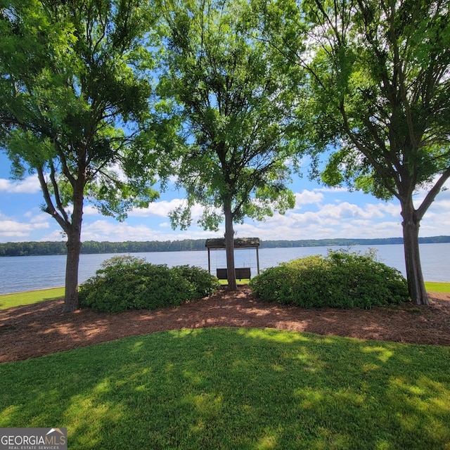 175 Lakeview Dr Apt 102, Eatonton, GA 31024 - water view
