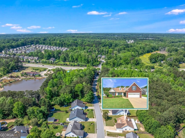 drone / aerial view of a forest and a nearby body of water