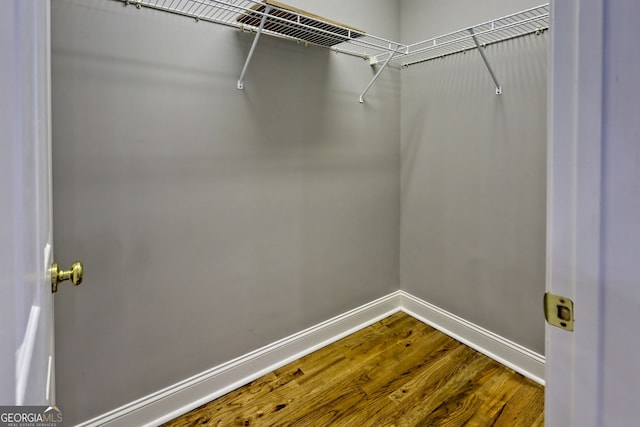spacious closet featuring dark wood-style flooring
