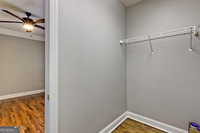 spacious closet featuring a ceiling fan and wood finished floors