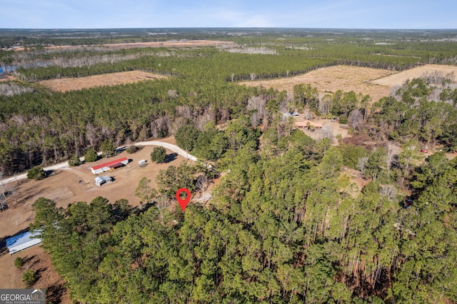 328 Willow Creek Rd, Folkston, GA 31537 - view of property location featuring a heavily wooded area