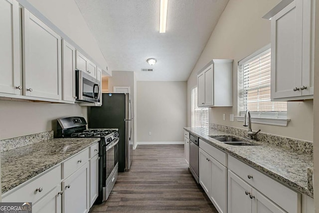 1363 To Lani Farm Rd, Stone Mountain, GA 30083 - kitchen featuring stainless steel appliances, a sink, dark wood-style floors, lofted ceiling, and baseboards