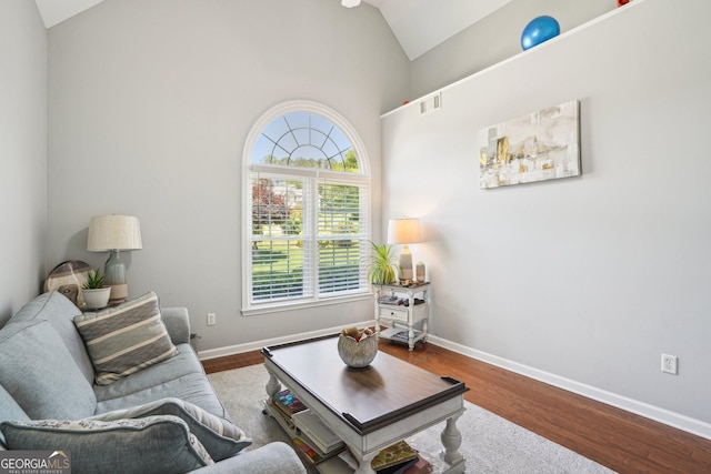 1010 Capella Creek Way, Grayson, GA 30017 - living area with plenty of natural light, baseboards, wood finished floors, and high vaulted ceiling