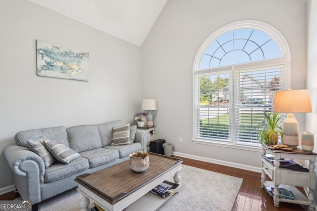 1010 Capella Creek Way, Grayson, GA 30017 - living room with healthy amount of natural light, vaulted ceiling, baseboards, and wood finished floors