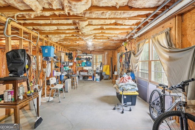 1010 Capella Creek Way, Grayson, GA 30017 - below grade area with healthy amount of natural light