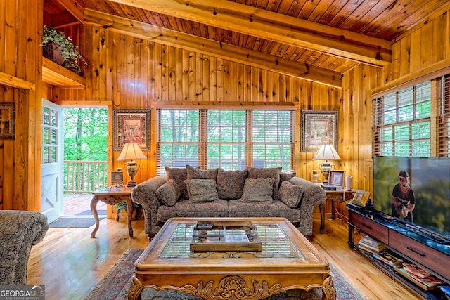 living room featuring wood ceiling, wood finished floors, and wooden walls