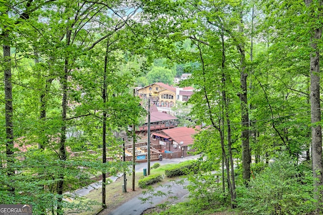 view of home's community