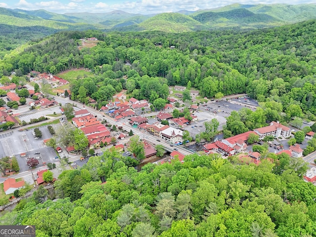 bird's eye view of a forest and a mountainous background