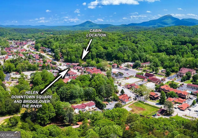 bird's eye view of a forest and a mountainous background