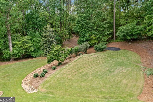 view of grassy yard