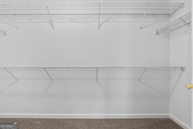 1429 Kentmire Ct, Locust Grove, GA 30248 - walk in closet with carpet flooring