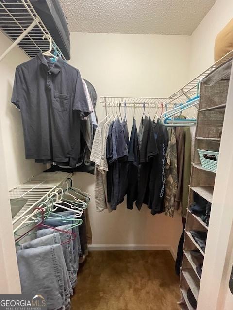 spacious closet with carpet flooring