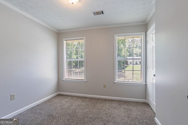 1076 Plantation Blvd SE, Conyers, GA 30094 - carpeted spare room with wainscoting, a decorative wall, and a textured ceiling