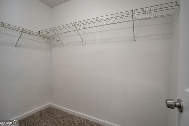 1076 Plantation Blvd SE, Conyers, GA 30094 - spacious closet with carpet flooring