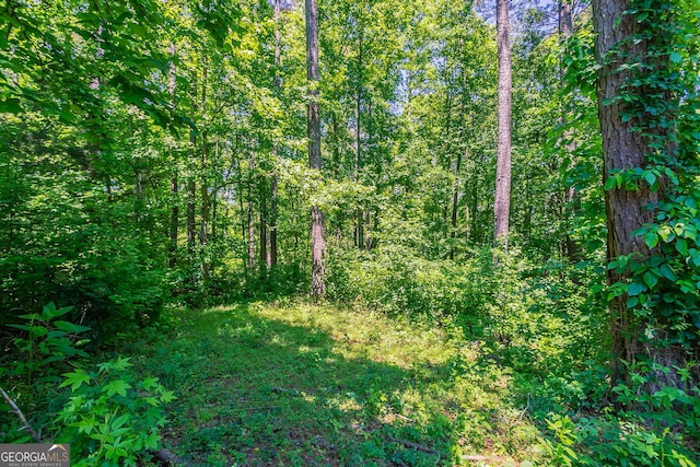 1076 Plantation Blvd SE, Conyers, GA 30094 - view of woods