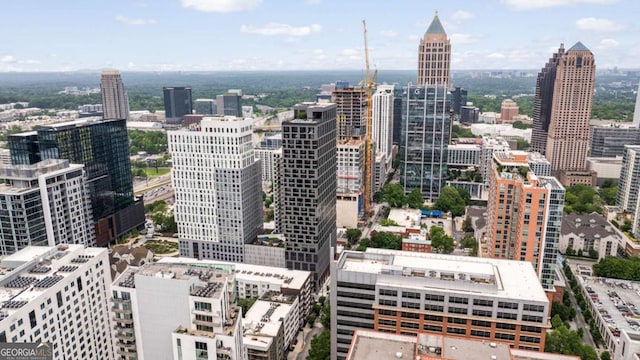 20 10th St NW Unit 2003, Atlanta, GA 30309 - city view