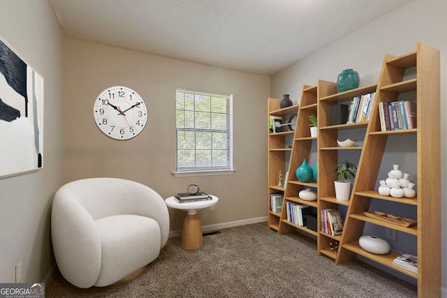 1074 Cherokee Hts, Stone Mountain, GA 30083 - living area with carpet flooring and baseboards