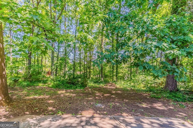 1074 Cherokee Hts, Stone Mountain, GA 30083 - view of woods