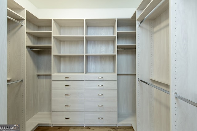 6790 Encore Blvd, Sandy Springs, GA 30328 - view of spacious closet
