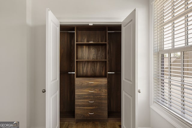 6790 Encore Blvd, Sandy Springs, GA 30328 - view of closet