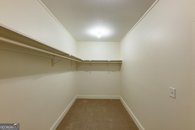564 Bailey Mill Rd, Yatesville, GA 31097 - walk in closet with carpet flooring