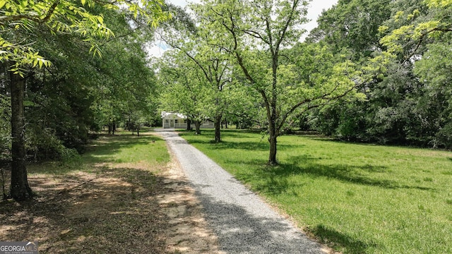 564 Bailey Mill Rd, Yatesville, GA 31097 - view of community featuring driveway and a lawn