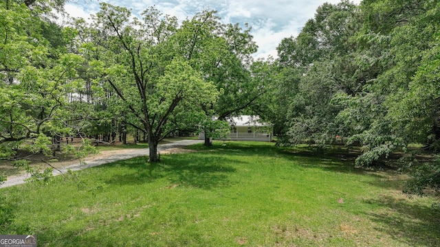 564 Bailey Mill Rd, Yatesville, GA 31097 - view of grassy yard