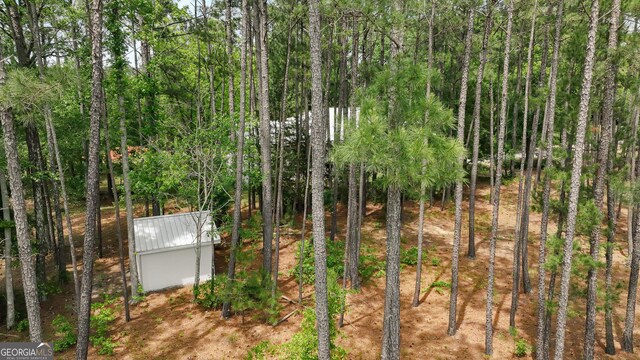 564 Bailey Mill Rd, Yatesville, GA 31097 - view of yard