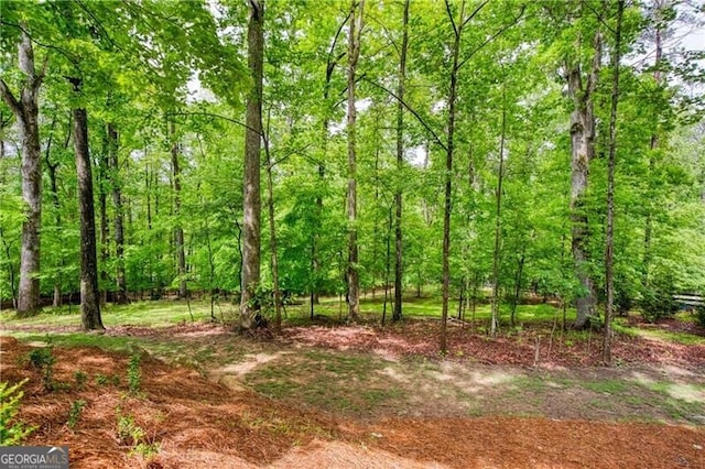 view of tree filled area