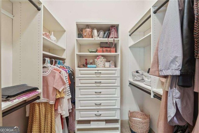 4162 Cumberland Point Dr, Gainesville, GA 30504 - view of spacious closet