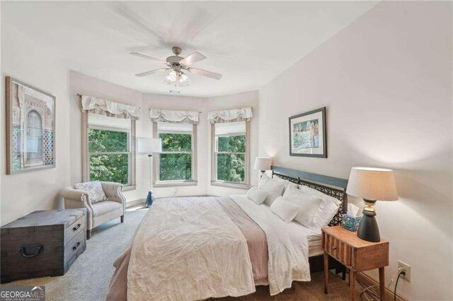 4162 Cumberland Point Dr, Gainesville, GA 30504 - carpeted bedroom featuring multiple windows and ceiling fan