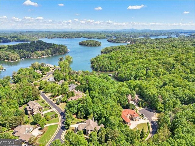 4162 Cumberland Point Dr, Gainesville, GA 30504 - aerial view of a heavily wooded area and a nearby body of water