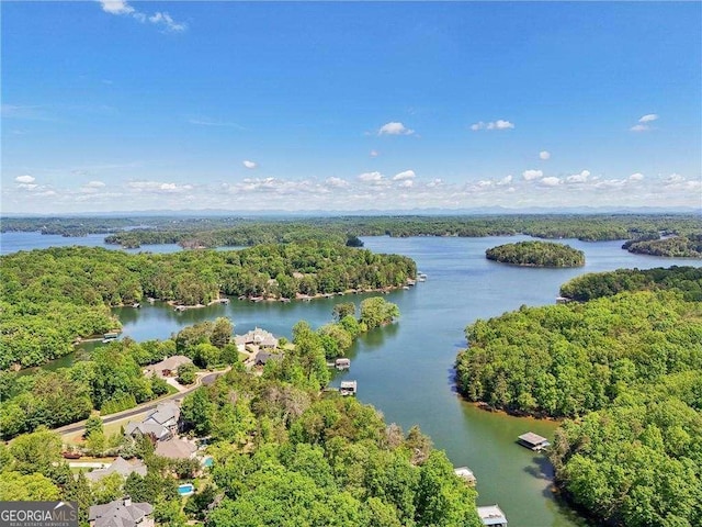 4162 Cumberland Point Dr, Gainesville, GA 30504 - drone / aerial view of a heavily wooded area and a large body of water