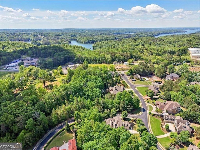 4162 Cumberland Point Dr, Gainesville, GA 30504 - bird's eye view of a forest and a nearby body of water