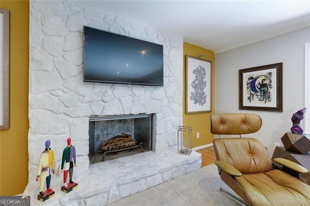living room featuring a stone fireplace and wood finished floors