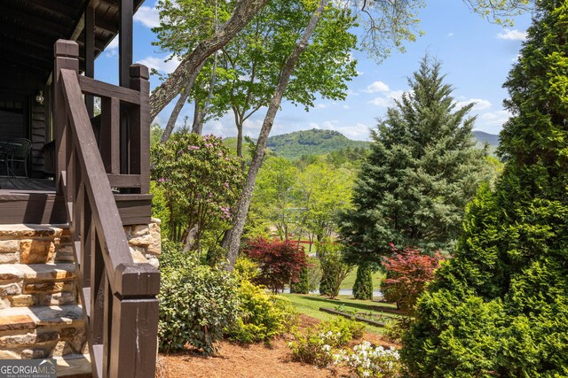 259 Eagle Chase Cir, Dillard, GA 30537 - view of yard with a mountain view