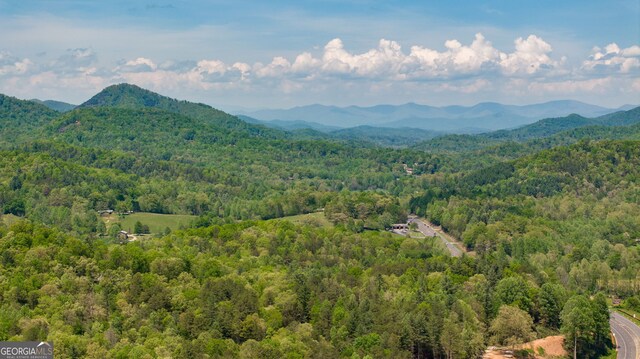 259 Eagle Chase Cir, Dillard, GA 30537 - mountain view featuring a forest