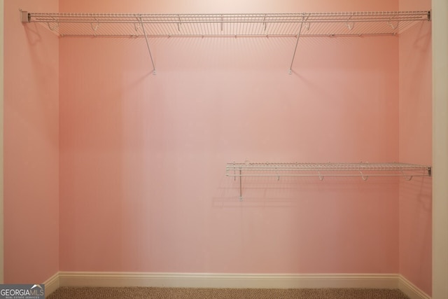 4345 Spring Branch Cir, Valdosta, GA 31601 - spacious closet with carpet flooring
