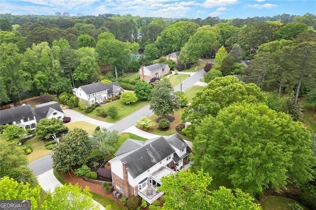 bird's eye view of a forest