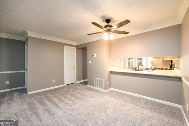 3001 Majestic Park Ct, Duluth, GA 30096 - carpeted spare room featuring a sink, a ceiling fan, a textured ceiling, baseboards, and ornamental molding