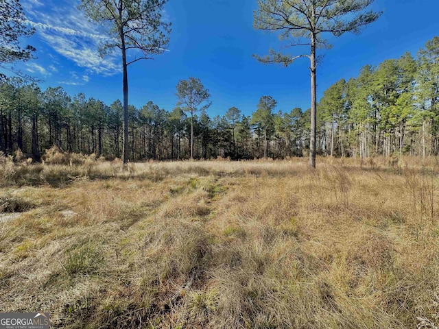 1513 Riggs Mill Ct, Statesboro GA, 30458 land for sale