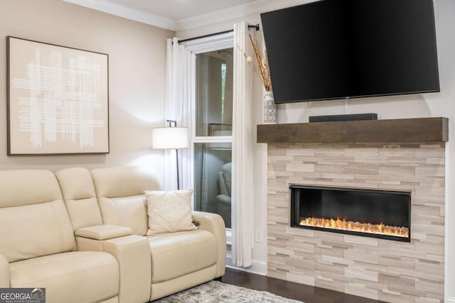living area featuring wood finished floors, ornamental molding, and a fireplace