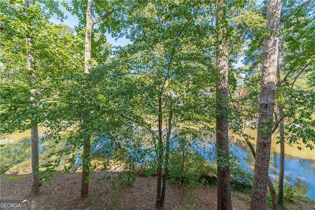 28106 Plantation Dr NE, Atlanta, GA 30324 - water view