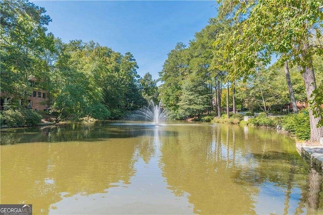 28106 Plantation Dr NE, Atlanta, GA 30324 - water view
